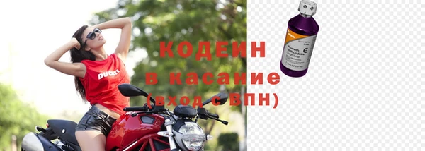 шишки Лагань