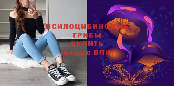 PSILOCYBIN Верхний Тагил