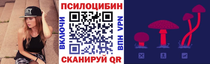 Псилоцибиновые грибы Cubensis  Новосокольники 